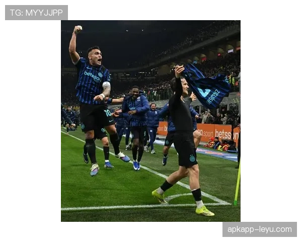 意甲意甲进球最多