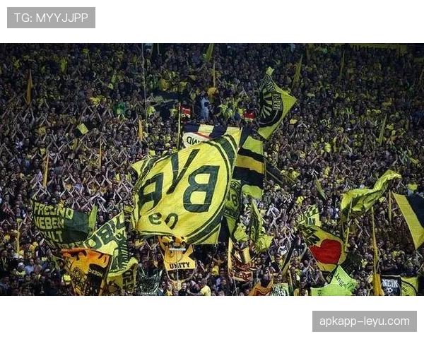 多特蒙德关键战连续崩盘，防守漏洞与稳定性问题已明显暴露